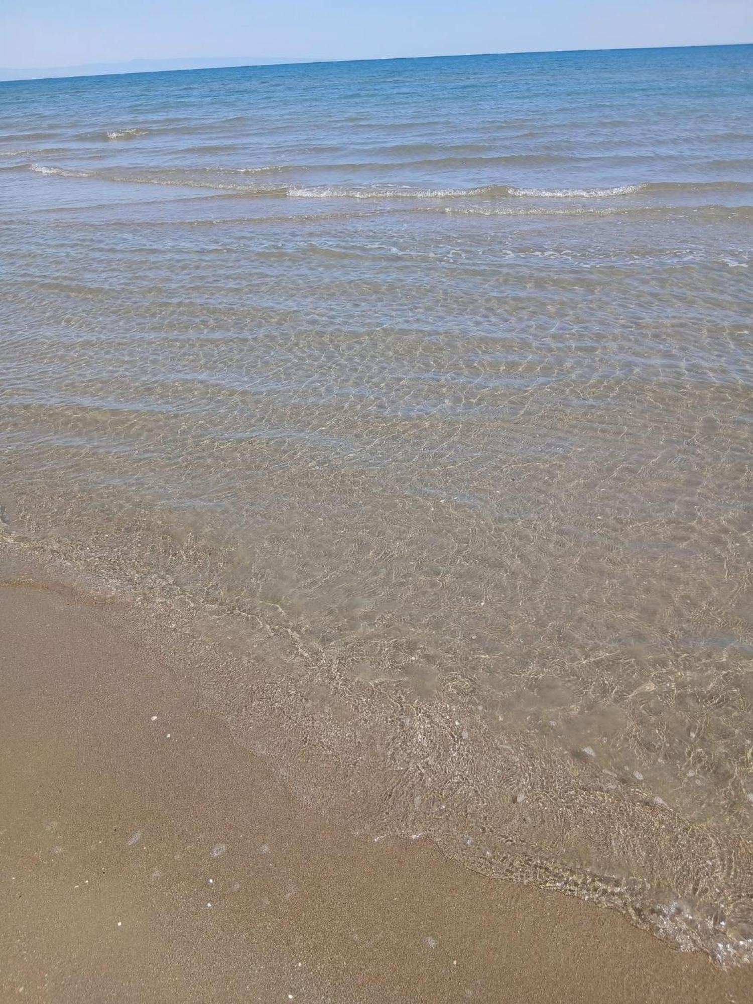 Domus 73 Apulian Holidays バルレッタ エクステリア 写真